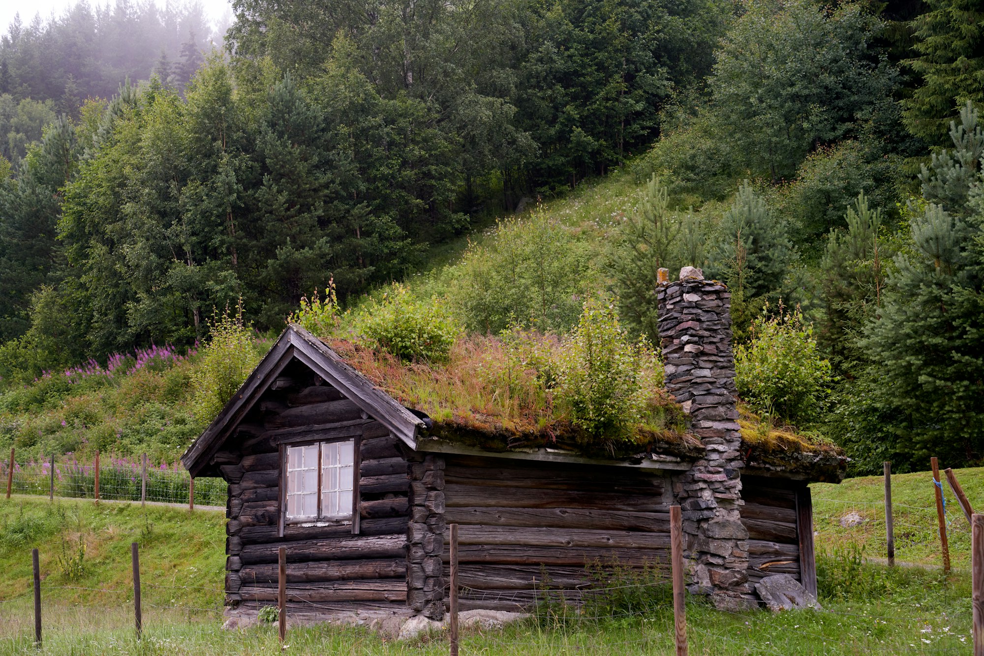 Turf-roofed log lodge on a green hillside