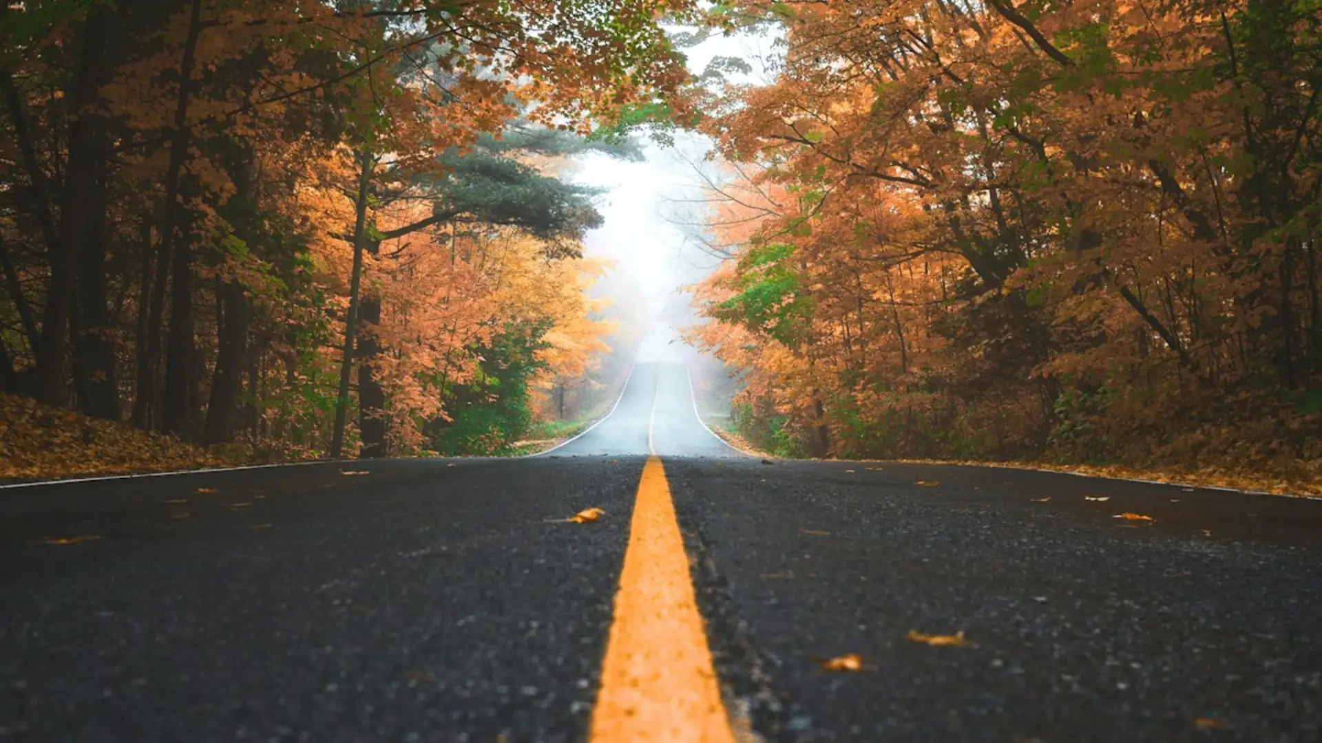 Autumn's best hikes